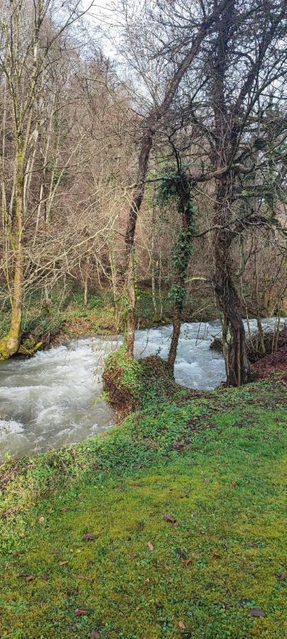 Le Clos Du Tulipier La Chapelle-du-Bard Exteriér fotografie
